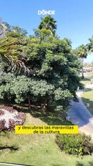 Iberostar Selection Playa Mita: un resort de 5 estrellas todo Incluido, sustentable y familiar