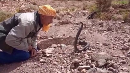 Hunting tripDangerous confrontation with the Great Viper