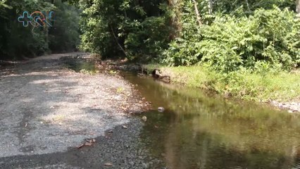 mqn-Parque Nacional Diria y la conservación del agua para Guanacaste-080623