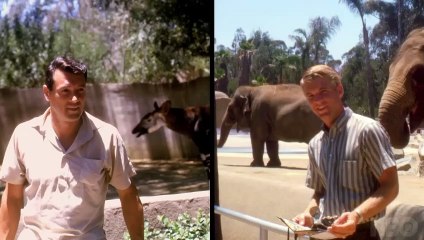 Rock Hudson: All That Heaven Allowed | movie | 2023 | Official Trailer