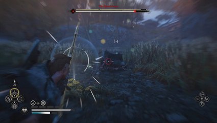 All 9 Assassin's Creed Valhalla Legendary Animal Locations