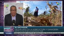 Sequía extrema afecta los cultivos y la ganadería en El Salvador