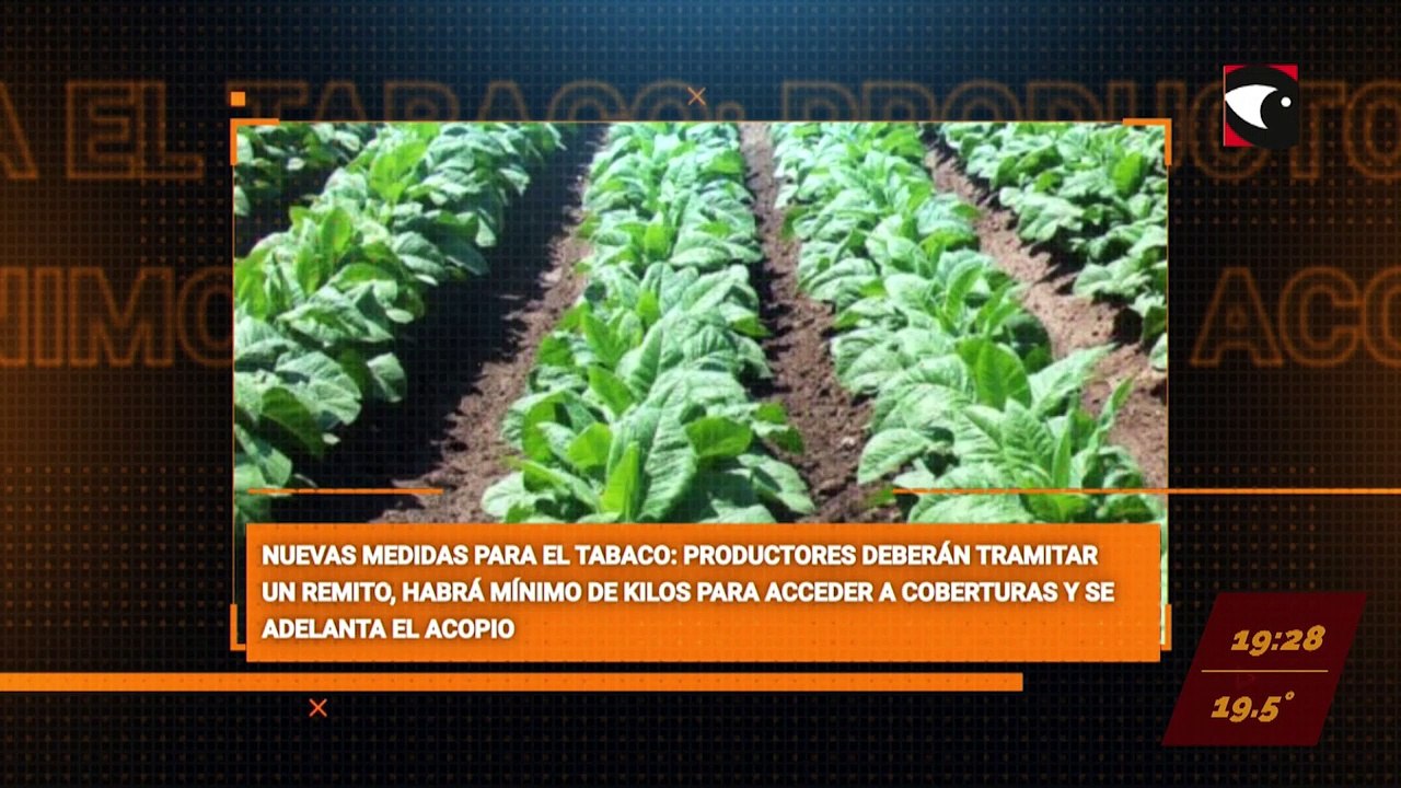 Sala Cinco - Programa completo 08/06/23