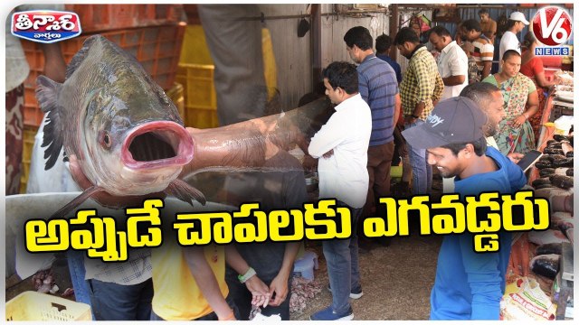 Huge Rush At Fish Market Due Mrigashira Karthe | V6 Teenmaar