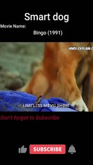 smart dog  | Limitless Movie Short | #shorts #viral