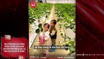 Sao Việt dạy con sống thiện từ bé: Lisa Leon yêu thương động vật, Lý Hải cho con đi từ thiện