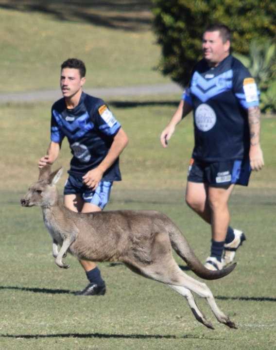 'Roos pitch invasion | South West Rocks | June 3, 2023