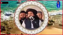 Allama saad Hussain Rizvi