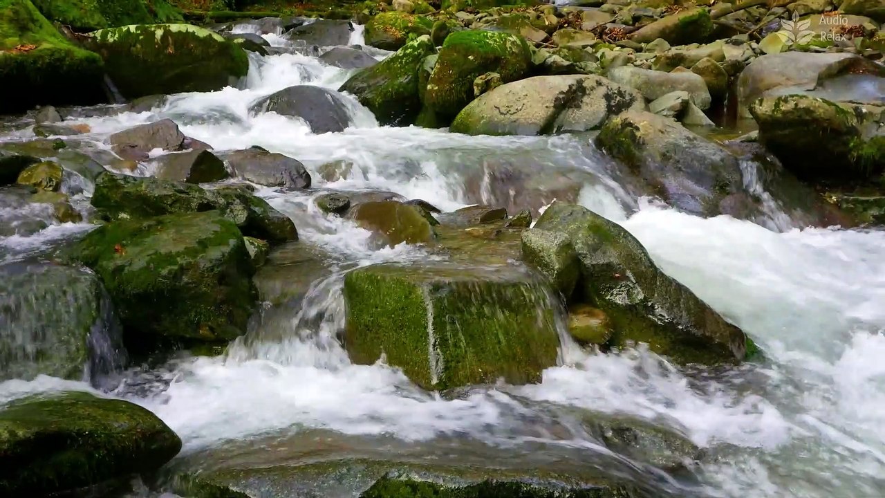 1-Hour Relaxing Video: Serene Rapids Stream Sounds for Deep Relaxation