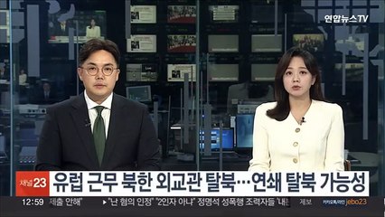 유럽 근무 북한 외교관 탈북…연쇄 탈북 가능성