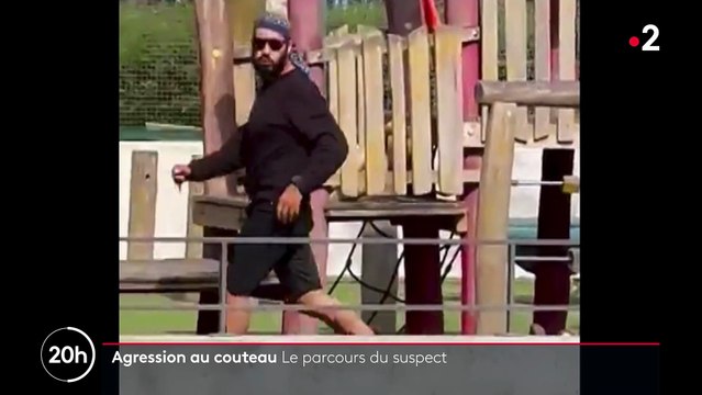 Attaque à Annecy : Quel est le parcours de cet homme qui a attaqué des enfants et que faisait-il en France ?