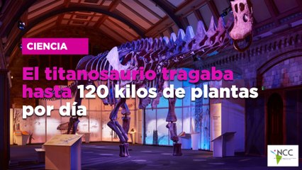 El titanosaurio tragaba hasta 120 kilos de plantas por día