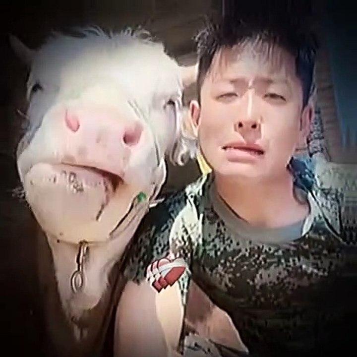 Funny Animal Video haha