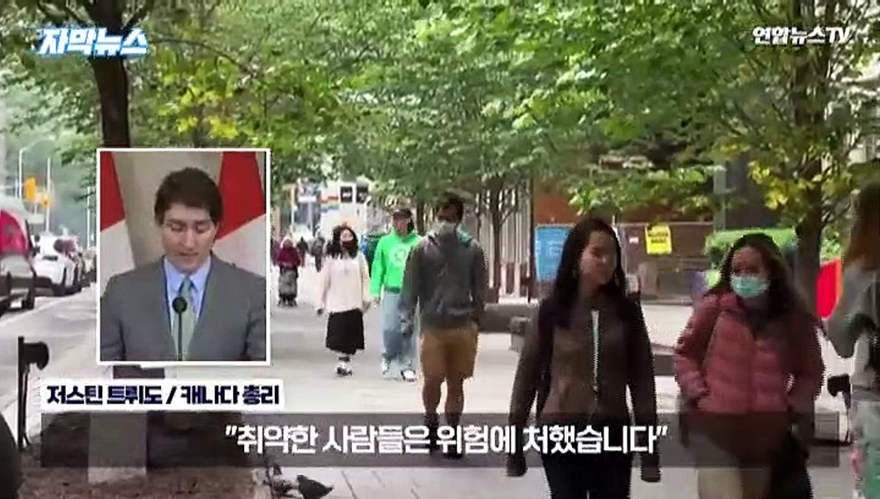 [자막뉴스/한미희] 걷잡을 수 없이 확산하는 캐나다 산불…남한 면적 40% 태워