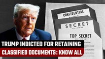 Donald Trump indicted on 7 charges: What is classified documents case about?