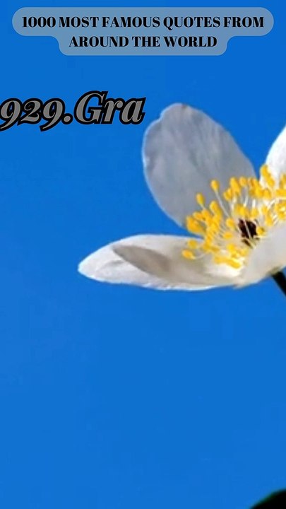 929-932.Quotable Moments: Memorable Words to Spark Reflection in Just  Seconds! #ENJOY!