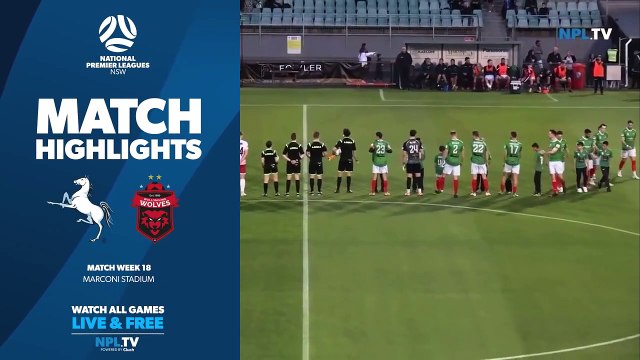 Wolves v Marconi highlights | June 9 2023 | Illawarra Mercury