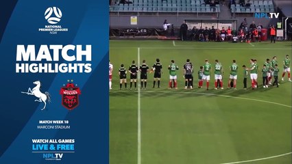 Wolves v Marconi highlights | June 9 2023 | Illawarra Mercury