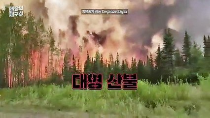 [현장의재구성] 캐나다 산불 확산 '비상'…연기가 뉴욕 하늘까지