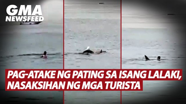 Shark attack witnessed by tourists in Egypt | GMA News Feed
