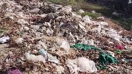 Video-मण्डी में अव्यवस्थाओं का आलम, 210 गांवों के किसान हो रहे हैं प्रभावित