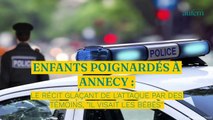Enfants poignardés à Annecy : le récit glaçant de l'attaque par des témoins, 