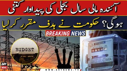 Government sets target for production capacity of electricity