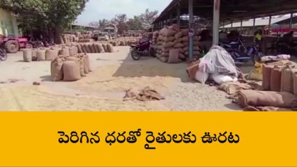 అచ్చంపేట: మార్కెట్ యార్డులో పెరిగిన ధరలు.. ఏవి, ఏంతంటే..?