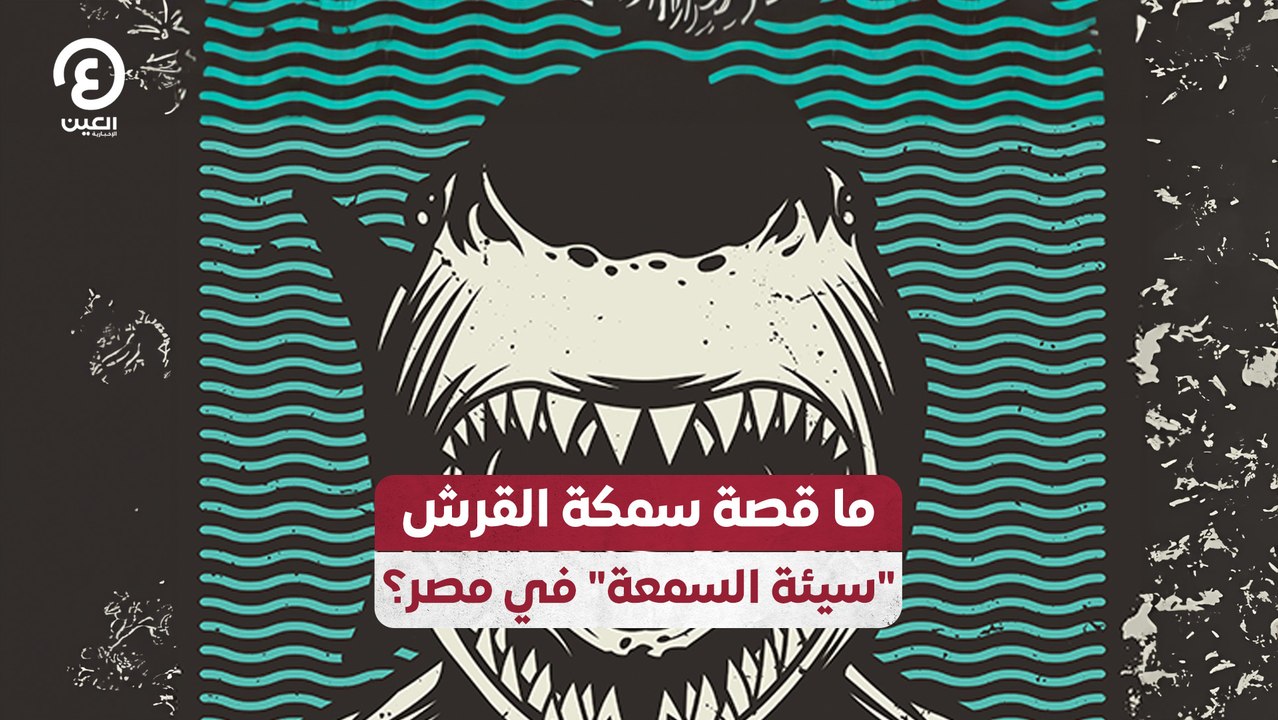 ما قصة سمكة القرش "سيئة السمعة" في مصر؟