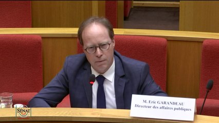 Commission d'enquête TikTok France : "Nous étions impatients de vous entendre",