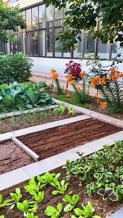 how to growth vegetable _gardening ideas for home