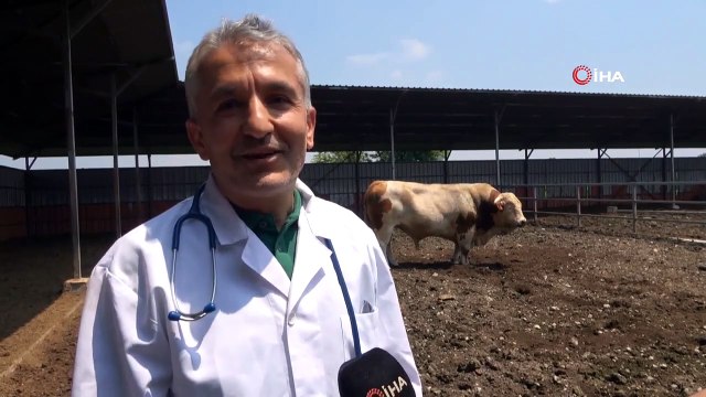 Onu gören şaşırıyor: İkinci el otomobil fiyatına alıcısını bekliyor