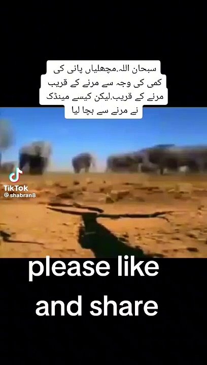 Beshaq#Allah_ne janwro ko b _aqal di h