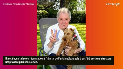 Herbert Léonard victime d'un malaise sur scène, le chanteur "hospitalisé en réanimation"