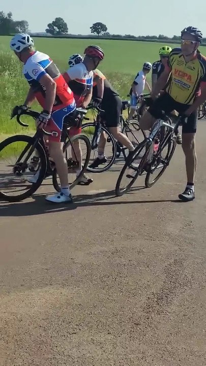 Wild Boars Knock Over Cyclists