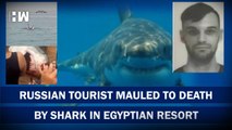 Fatal Shark Attack Claims Russian Man's Life in Egypt's Red Sea ...