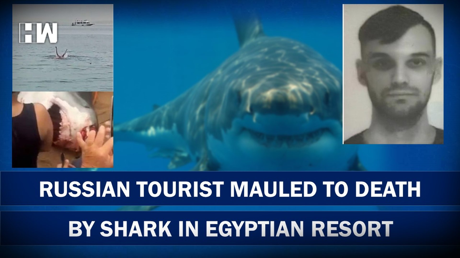 Fatal Shark Attack Claims Russian Man's Life in Egypt's Red Sea, Hurghada, Tourist