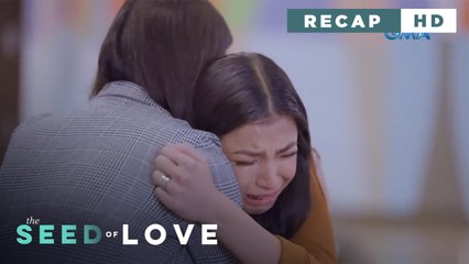 The Seed of Love: Eileen's never-ending problems (Weekly Recap HD)