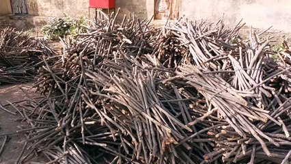 चंबल किनारे से दो ट्रॉली कीमती इमारती लकड़ी बरामद तस्करी के आरोपियों की तलाश जारी