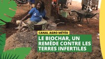 Canal Agro Météo : Le biochar, un remède contre les terres infertiles.