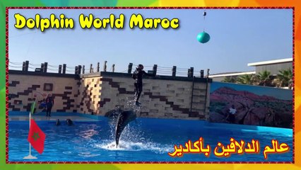 Delphinarium Agadir_ Dolphin World Maroc  @ عالم الدلافين بأكادير