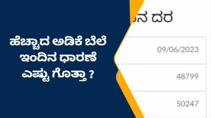ದಾವಣಗೆರೆ: ಅಡಿಕೆ ಬೆಲೆಯಲ್ಲಿ ಏರಿಕೆ; ಹೇಗಿದೆ ಇಂದಿನ ಮಾರ್ಕೆಟ್ ರೇಟ್..?