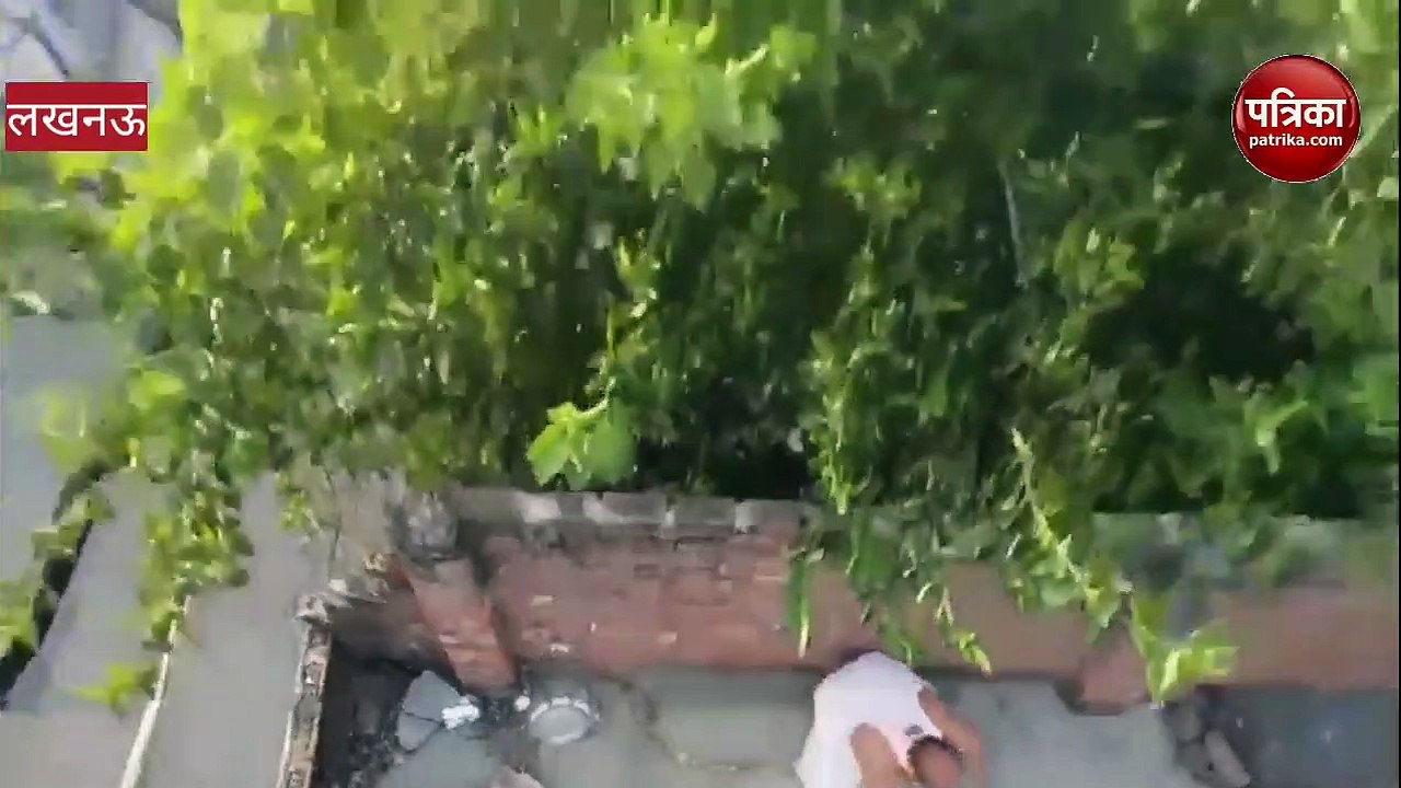 सावधान: देखिए कैसे लगाते है कटिया, किसी को नहीं चलेगा पता