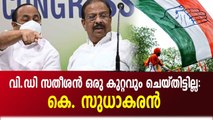 വിവാദങ്ങൾക്ക് പ്രതികരണവുമായി കെ. സുധാകരൻ രംഗത്ത്