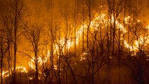 Cómo Empezaron Los Incendios Forestales En Canadá