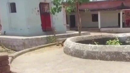 छतरपुर: कॉलोनी के बाहर खुला पड़ा कुंआ,हो सकता है बड़ा हादसा