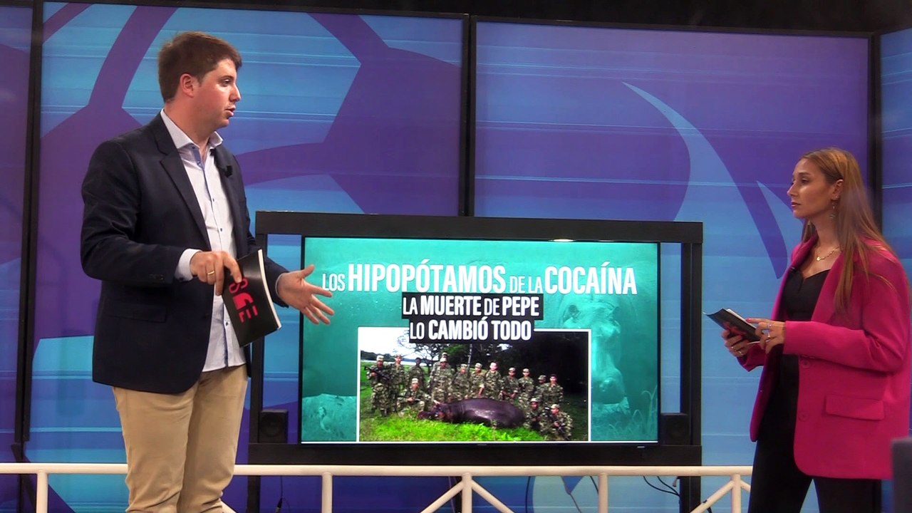 HIPOPOTAMOS 4