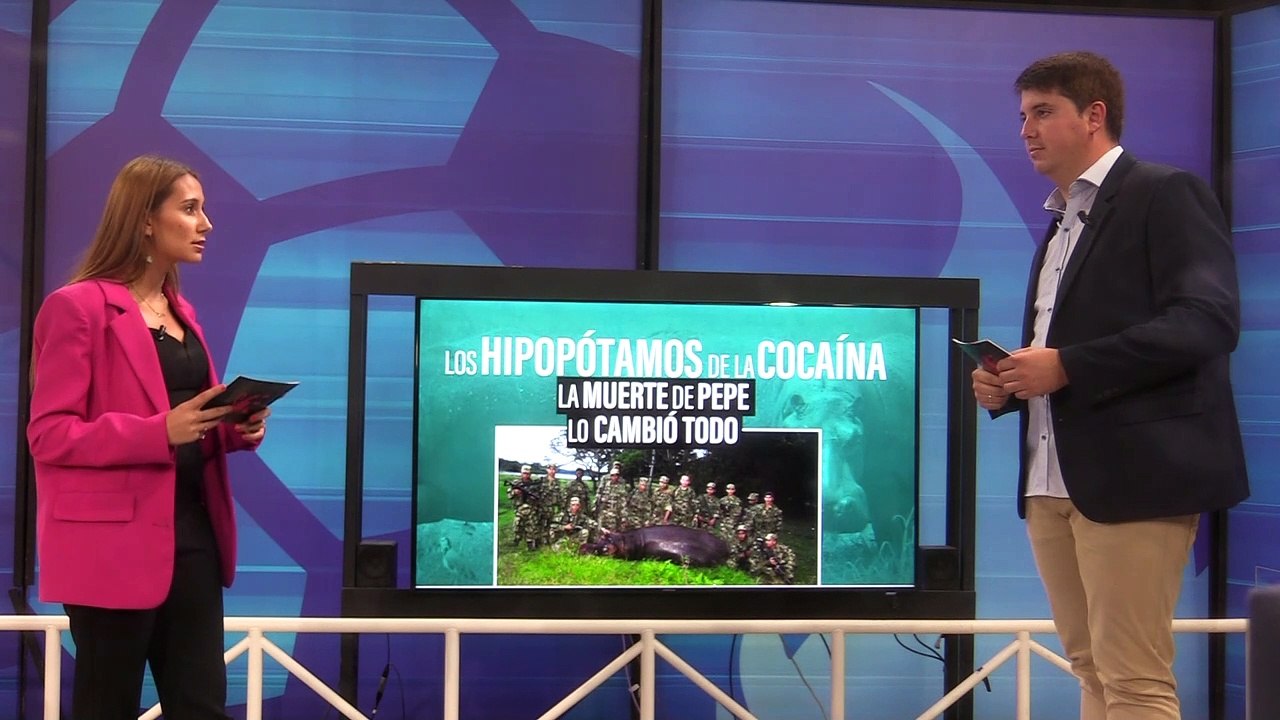 HIPOPOTAMOS 7