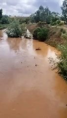 Río Sequillo a su paso por Medina de Rioseco.- E.M.
