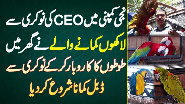 CEO Ki Job Se Laakhon Kamane Wale Ne Ghar Me Parrots Ka Business Kar Ke Double Kamana Shuru Kar Dia